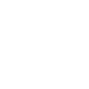 Ico02