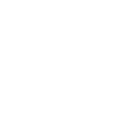 Ico03