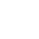Ico04